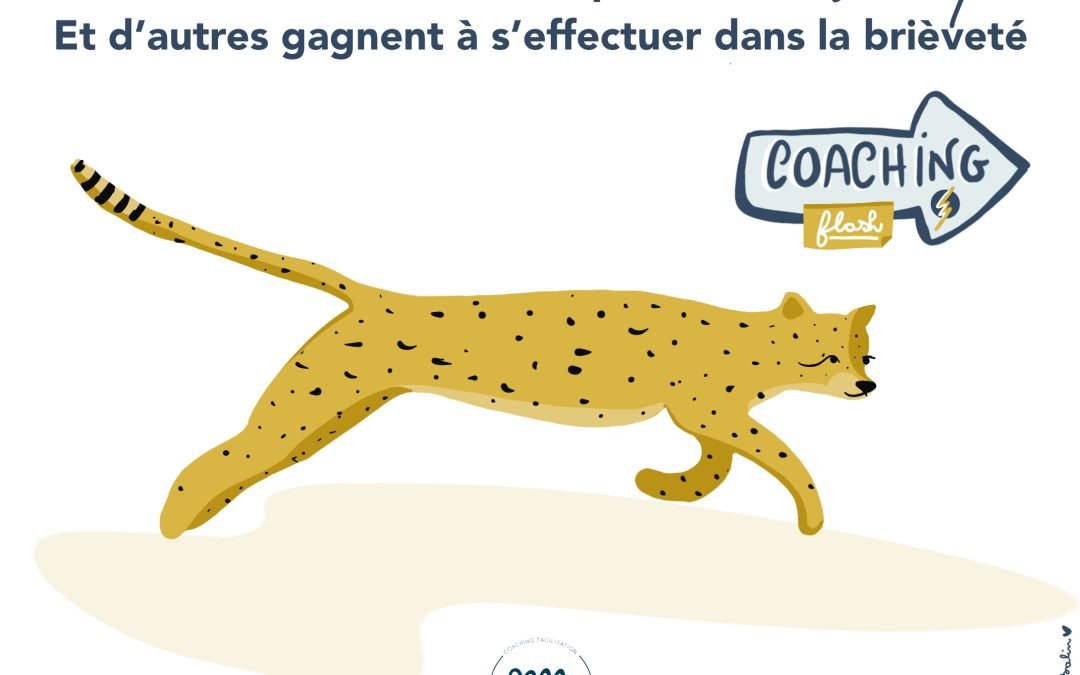 pourquoi-faire-un-coaching-flash